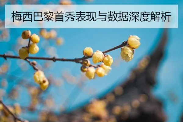 mei-xi-ba-li-shou-xiu-biao-xian-yu-shu-ju-shen-du-jie-xi-2-467.jpg