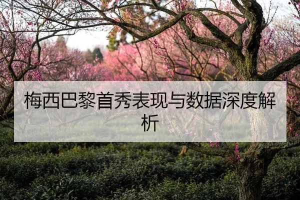 梅西巴黎首秀表现与数据深度解析
